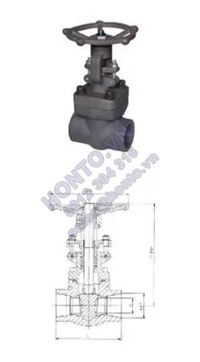 van-cong-socket-weld-1-221x400_0