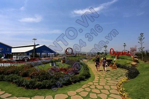 khanh-thanh-trang-trai-bo-sua-organic-chuan-chau-au-200-ty-6-500x333_0