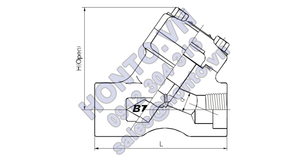 Van-mot-chieu-chu-Y-1-ban-ve-1-600x315_0