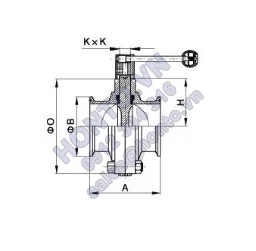 Van-buom-inox-vi-sinh-SMS-hai-dau-clamp-256x251_0