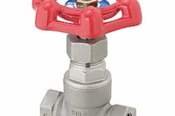 1 globe valve