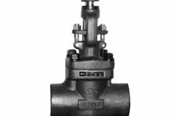 A105 Valve