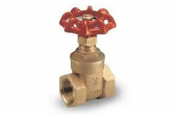 1 2 gate valve