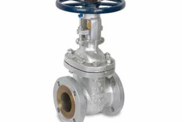 6 gate valve