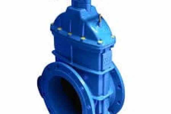 gate valve DN200
