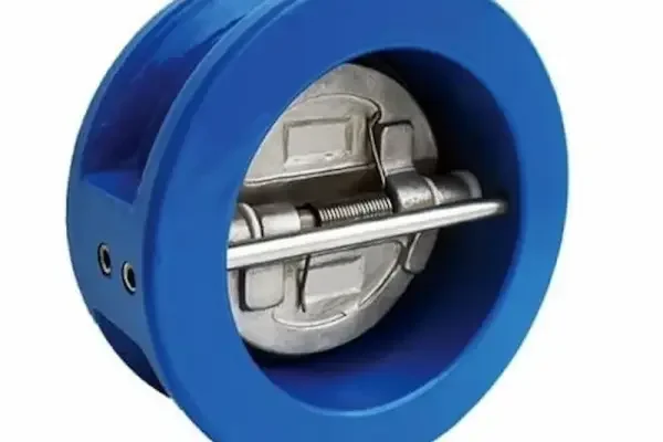 Van 1 chiều dn 100