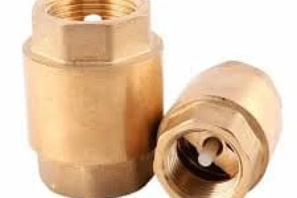 Van 1 chiều lò xo