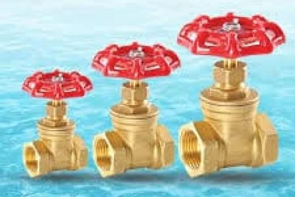 Van Nước 2 Chiều Là Gì?