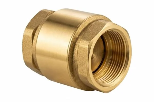Brass swing check valve là gì?