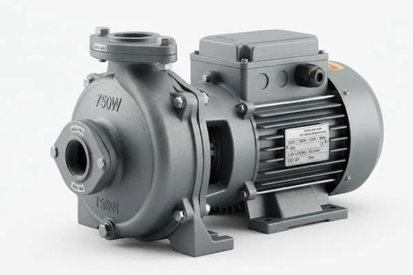 Máy bơm con lợn 750W là gì?