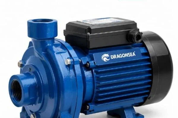 Máy bơm Dragonsea 2HP là gì?