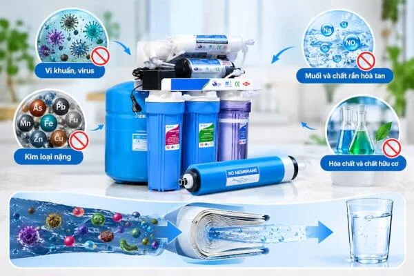 Cục lọc RO có tác dụng gì? Những chất nào được loại bỏ khỏi nước?