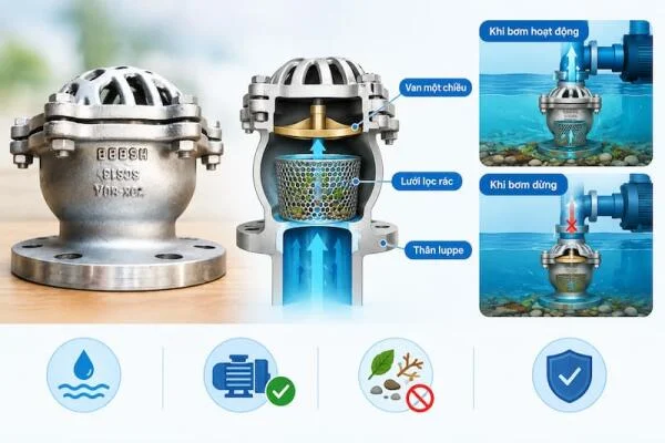 Các loại luppe 2 chiều phổ biến: Gang, đồng, inox và nhựa