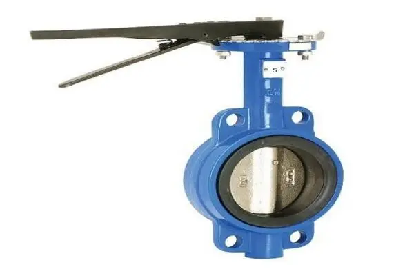 5 Inch Butterfly Valve