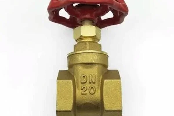 Van cổng DN20