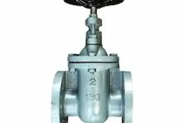 Arita valve