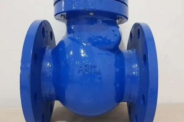 Báo giá van 1 chiều D100