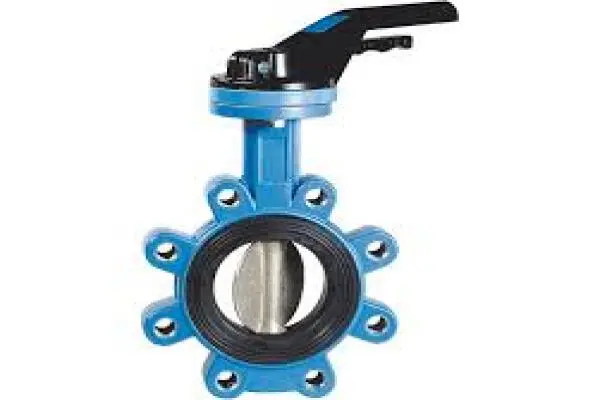 Blue Butterfly Valve