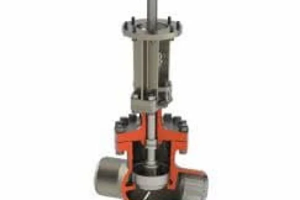 Bonnet Globe Valve