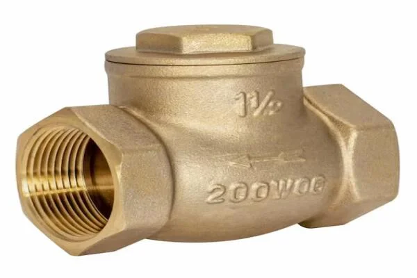 Brass check valve