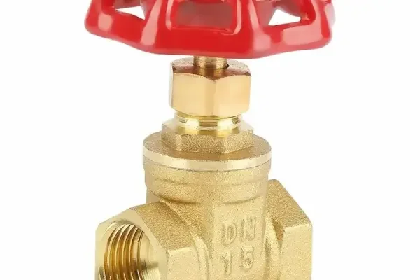 Brass gate valve 1 2