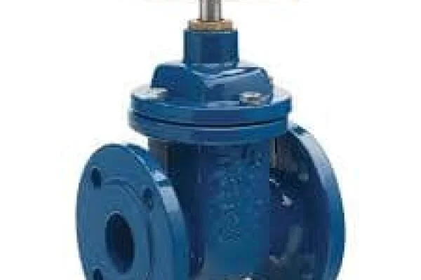 BS 5163 gate valve