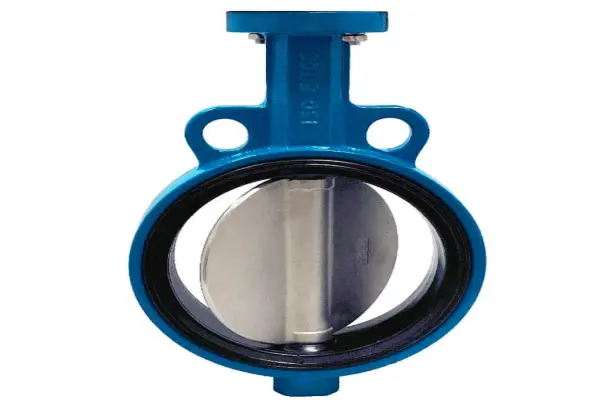 Butterfly valve 2