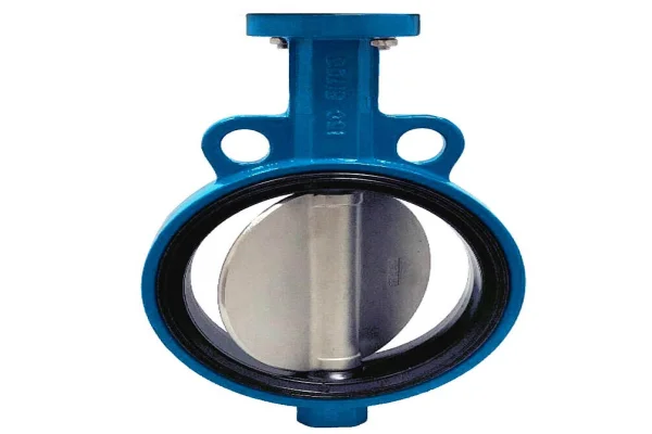 Butterfly Valve 4