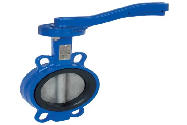 Butterfly Valve DN 100