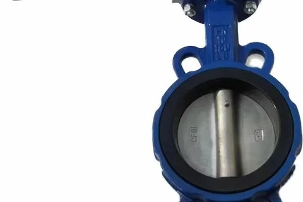 Butterfly valve dn100