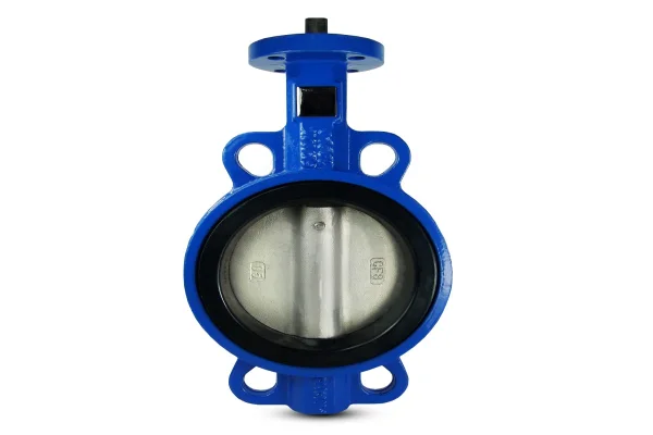 Butterfly Valve Dn65