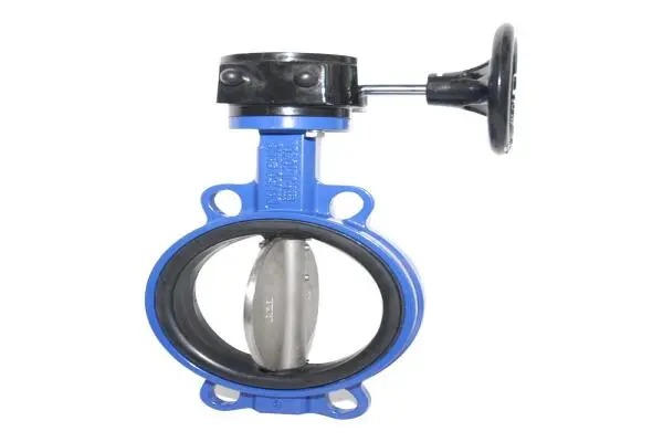 Butterfly Valve Korea