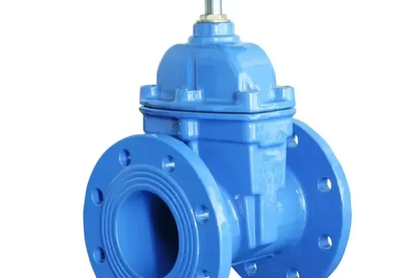 Van DN 100 PN 16