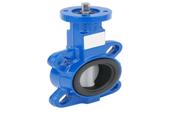 Butterfly valve DN25