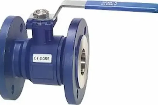 Dn80 valve