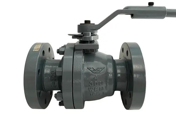 FBV Ball Valve