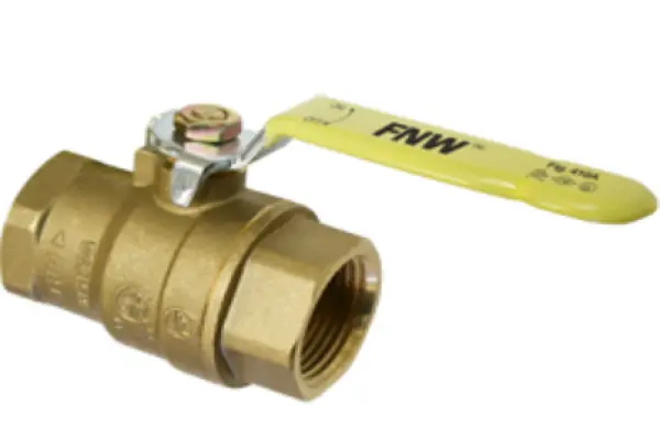 FNW valve