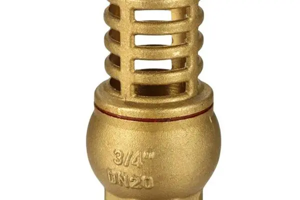 Foot Valve