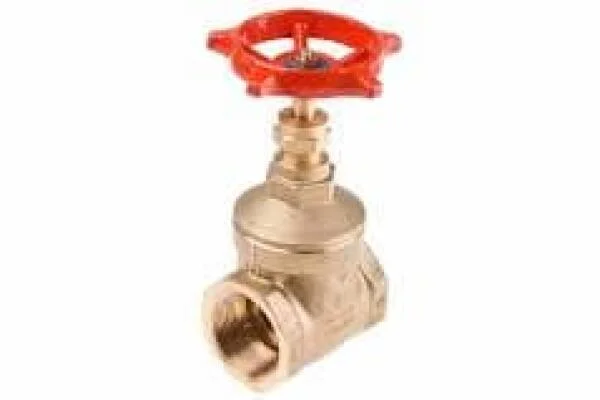 Gate valve 1 1 2