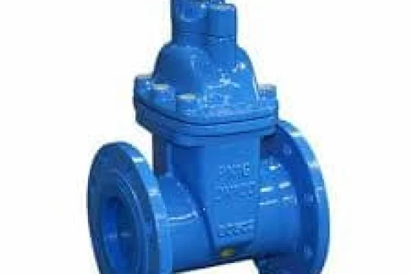 Gate valve 4in