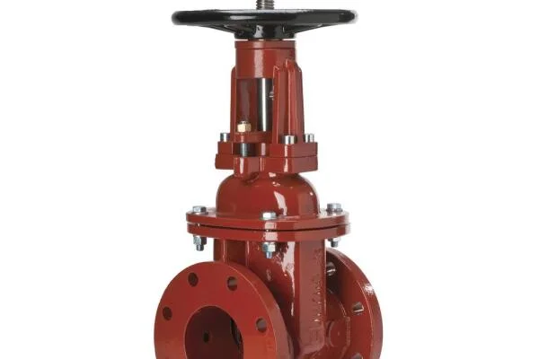 Gate valve 6