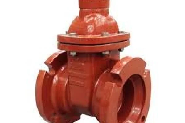 Gate valve 8 inch