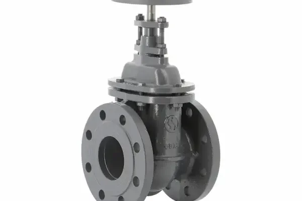 Gate valve dn150
