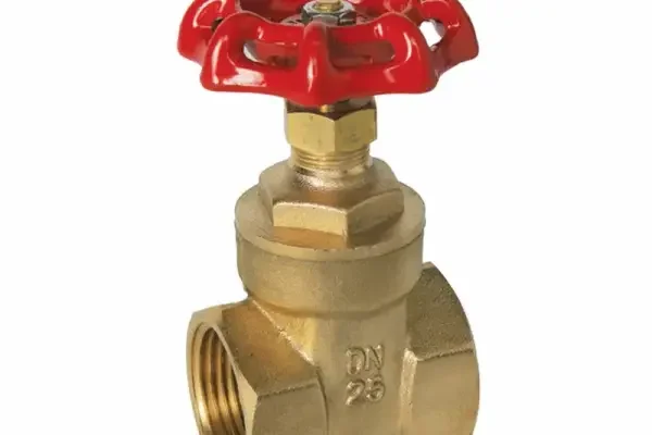 Gate valve dn25