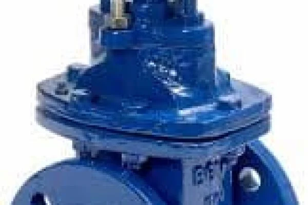 Gate valve DN40