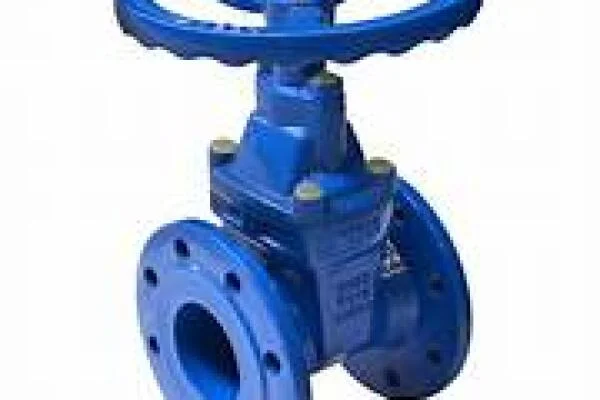 Gate valve DN80