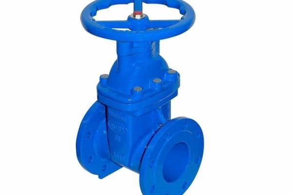 Gate valve PN16