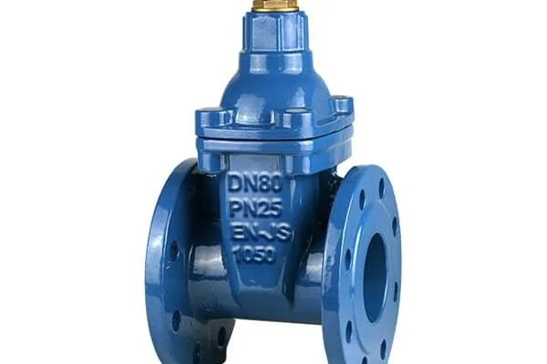 Van cổng PN25