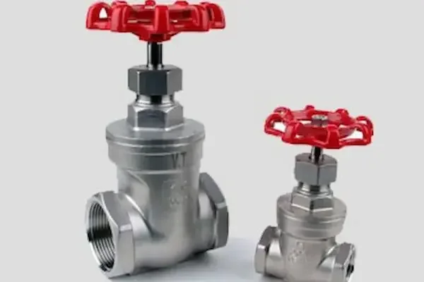 Gate valve ss 304