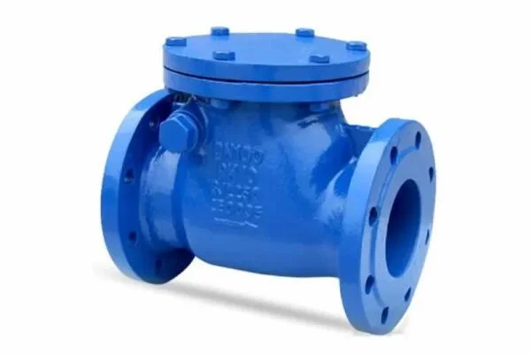 Giá van 1 chiều DN50